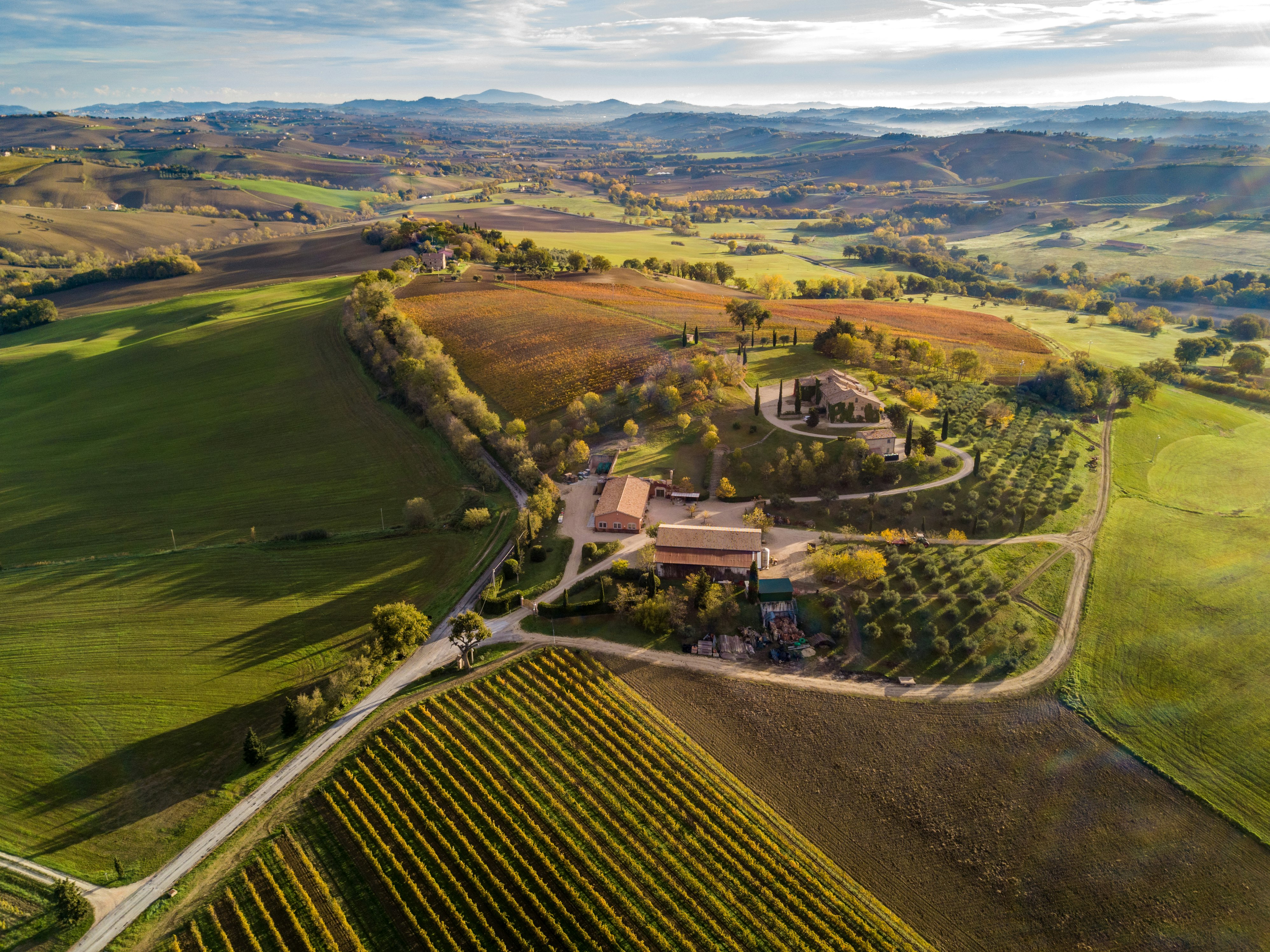 Marche Caratello Weine italienische Weine